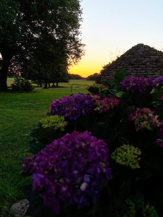 Au Coeur De La Nature Allaire Bagian luar foto