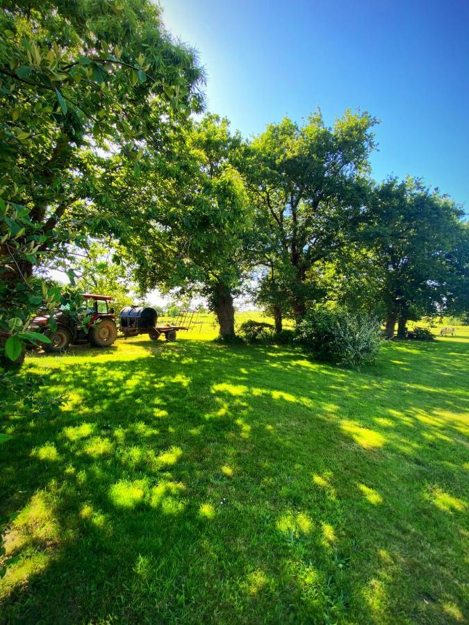 Au Coeur De La Nature Allaire Bagian luar foto